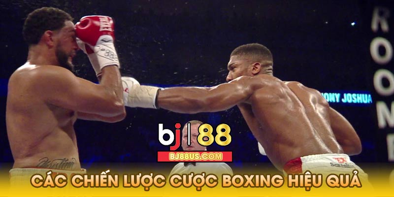 cách cược boxing hiệu quả