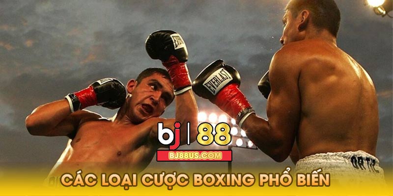 Các loại cược boxing phổ biến