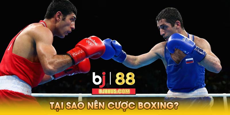 Tại sao nên cược boxing?