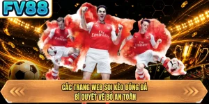 cac trang web soi keo bong da bi quyet ve bo an toan