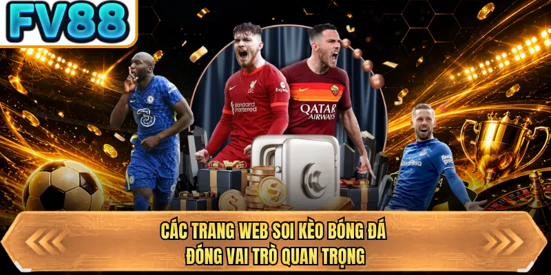 cac trang web soi keo bong da dong vai tro quan trong