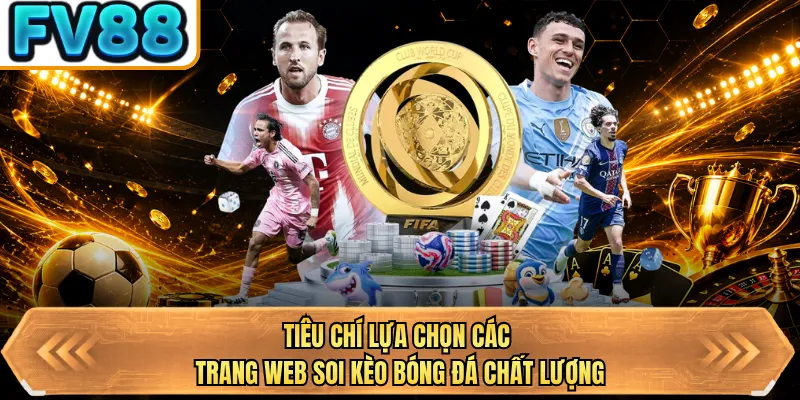 tieu chi lua chon cac trang web soi keo bong da chat luong